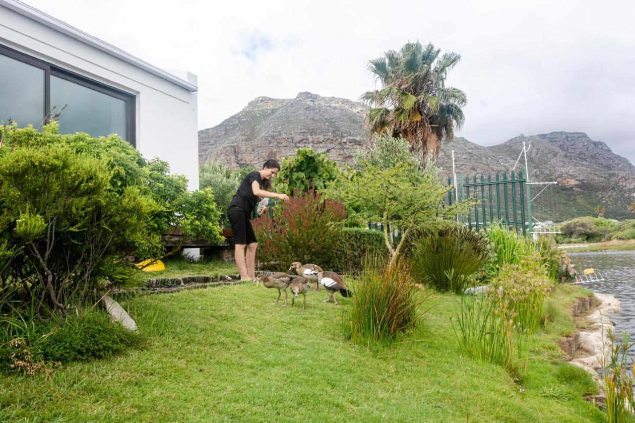 Vlei Cove Guesthouse Fokváros Kültér fotó